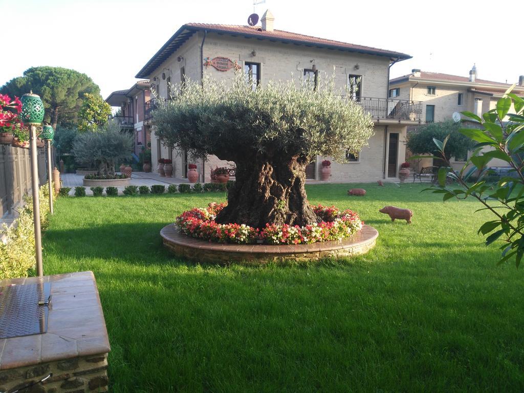 Hotel Domus Angeli à Assise Extérieur photo