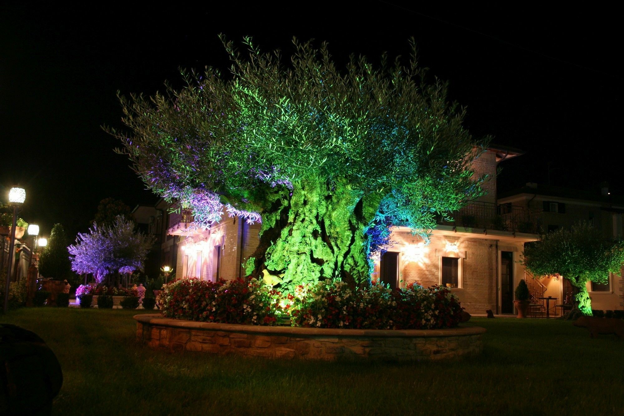 Hotel Domus Angeli à Assise Extérieur photo
