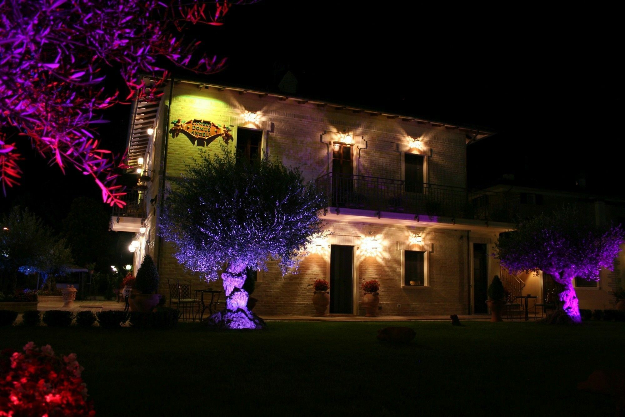 Hotel Domus Angeli à Assise Extérieur photo